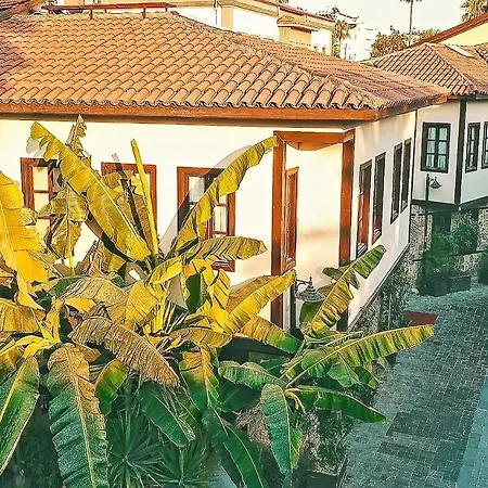 Hotel The