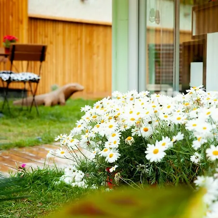 Hotel The Suite Apart Hotel