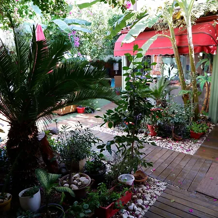 The ホテル アンタルヤ